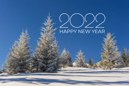 Majestic winter landscape with trees in snow on holiday greetings 2022 New Year card