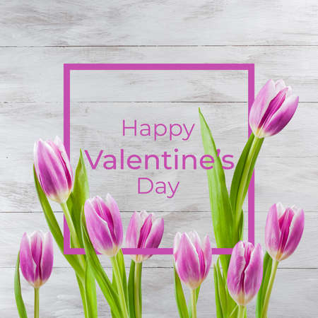 Valentine day holiday background with tulip flowers and congratulation textの写真素材