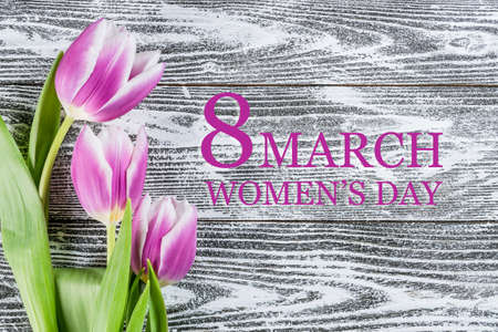 Holiday 8 march womens day background with tulip flowers and congratulation textの写真素材