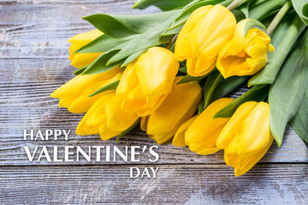 Holiday Valentines day background with tulip flowers and congratulation textの写真素材