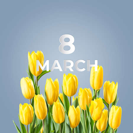 8 march internationals womens day card with tulip flowersの写真素材
