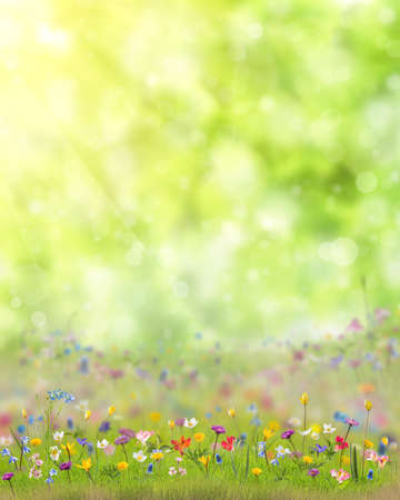 Spring floral meadow with many wild flowers in green grass and place for your textの写真素材
