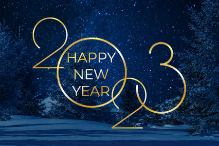 Night winter landscape with trees and stars on holiday greeting card 2023 New Yearの写真素材