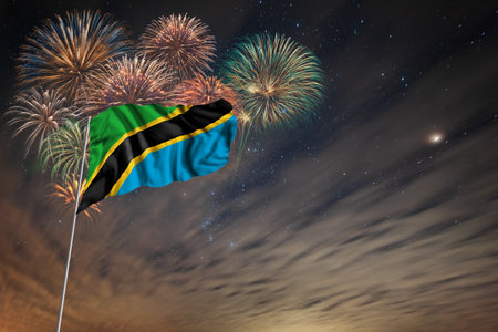Waving National flag of Tanzania and holiday fireworks on night sky background with stars for independence dayの写真素材