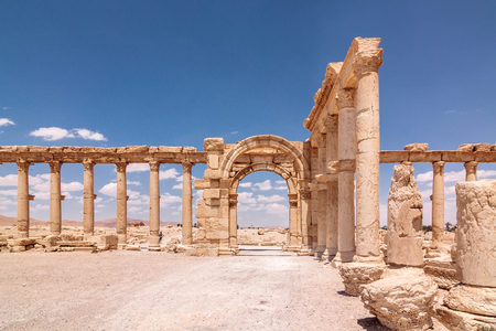 The ruins of Palmyra, Syriaの写真素材