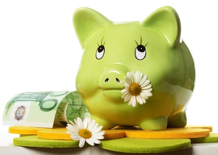 Green piggy bank with daisy flower in mouth and one hundred euroの写真素材