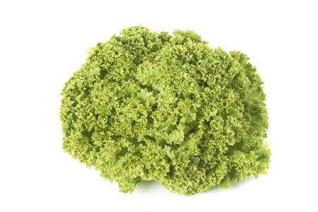 Fresh green lettuce on white