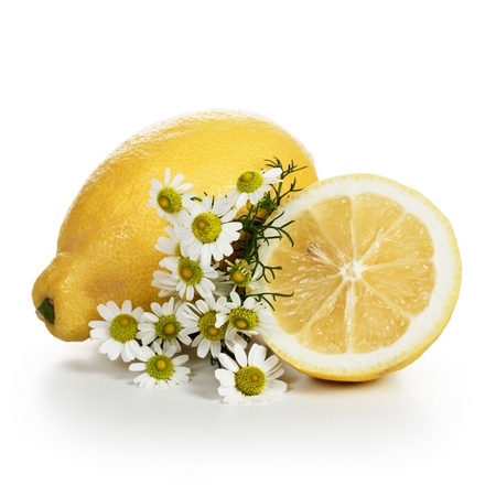 Ripe lemons with beautiful fresh chamomile flowers on white backgroundの写真素材