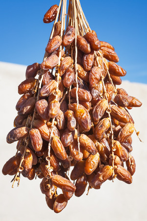 Bunch of dried dates at a farmers market in Tunisiaの写真素材