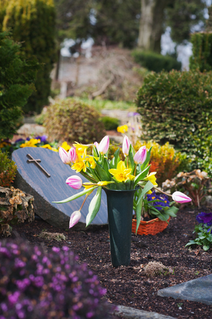 Spring flowers in flower potの写真素材