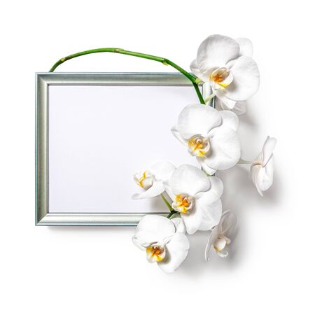 Picture photo frame with white orchid flowers isolated on white background clipping path included. Flat lay. Copy spaceの写真素材