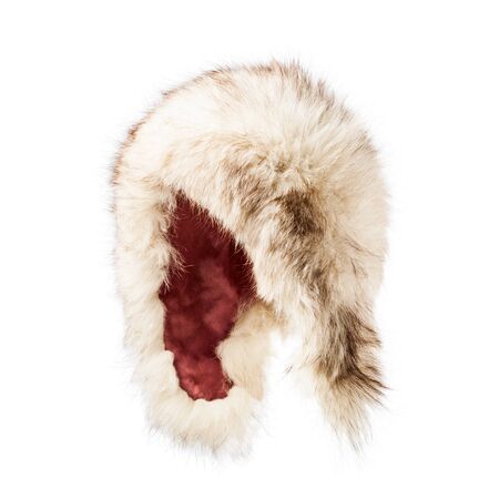 Fur hat isolated on white background, winter fluffy cap
の写真素材