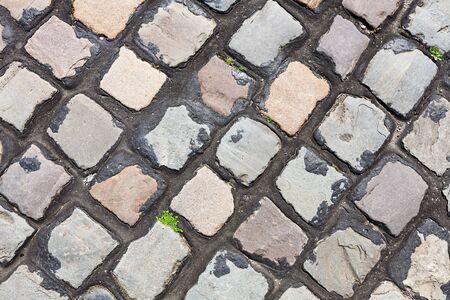 Stone pavement background with weeds. Modern style design