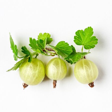 Fresh gooseberry branch with  ripe berries and green leaves on white background. Healthy eating gardening concept. Summer fruit and berry arrangement. Top view, flat lay, design elementの写真素材