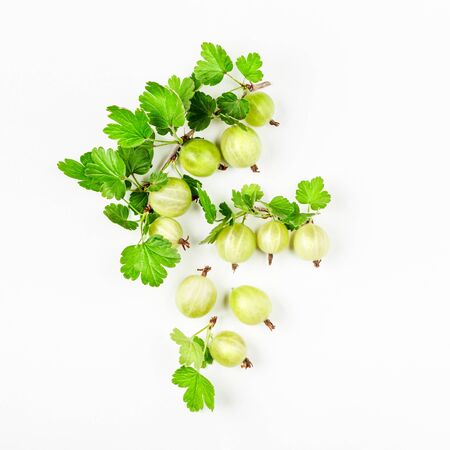 Fresh gooseberries, branch and leaves composition isolated on white background. Healthy eating and dieting concept. Summer fruit and berry arrangement. Top view, flat lay, design elementの写真素材