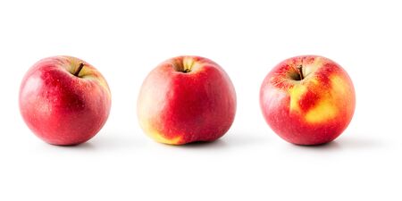 Red apple fruit collection as creative banner isolated on white background. Healthy eating and dieting food concept. Winter fruits arrangement and design elementsの写真素材