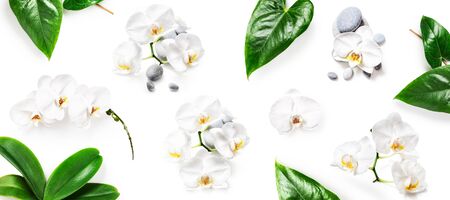 White orchid flowers, leaves and spa stones creative composition isolated on white background. Flower arrangement, floral design bannerの写真素材