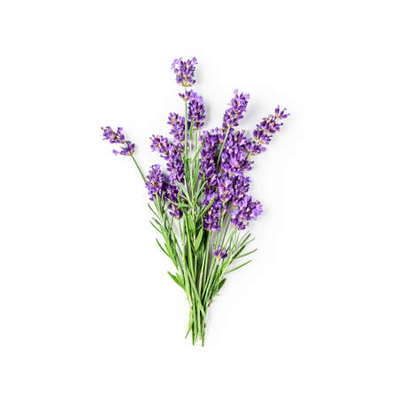 Lavender flowers and leaves bunch isolated on white background with clipping path. Top view, flat lay. Floral design element. Healthy eating and alternative medicine conceptの写真素材