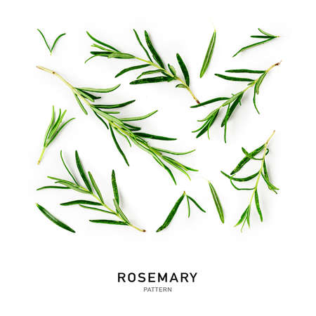 Rosemary twigs and leaves creative pattern and collection isolated on white background. Top view, flat lay. Floral design elements. Healthy eating and alternative medicine conceptの写真素材