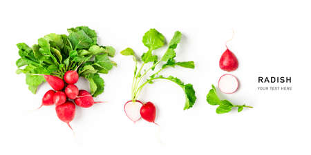 Fresh radish with leaves creative layout on white background. Healthy eating and dieting food concept. Whole and sliced fresh radishes composition and design elements. Top view, flat layの写真素材