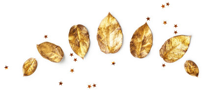 Stars and golden leaves isolated on white background. Christmas decoration creative layout and collection. Holiday concept, flat layの写真素材
