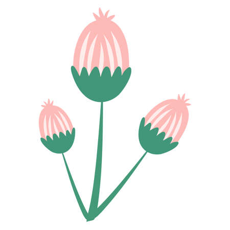 organic wildflower elementのイラスト素材