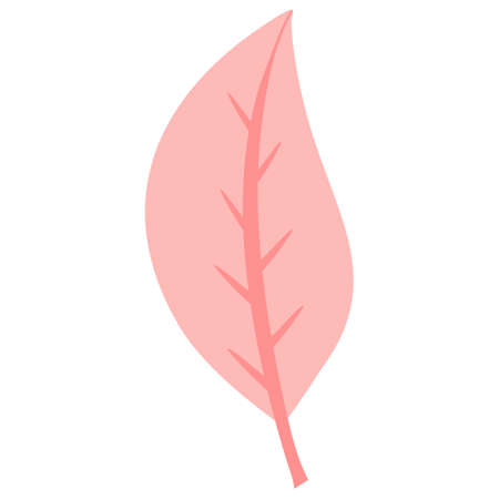 pink leaves plantのイラスト素材