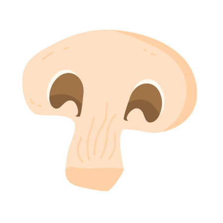 brown mushrooms graphic illustrationのイラスト素材