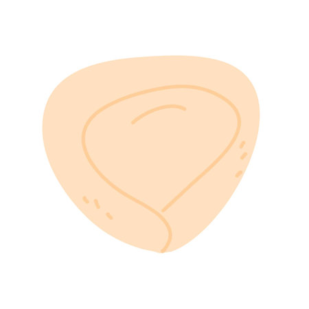 Pelmeni Meat dumplings russian foodのイラスト素材
