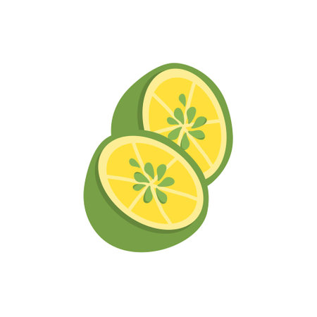 lime slice jeruk nipisのイラスト素材