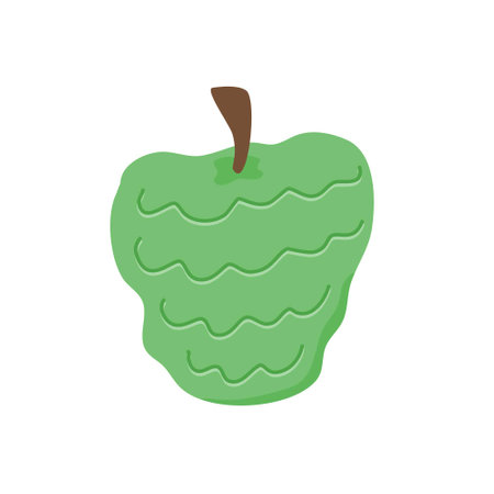 fruit ripe cherimoya or custard appleのイラスト素材