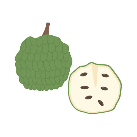 fruit ripe cherimoya or custard apple illustrationのイラスト素材