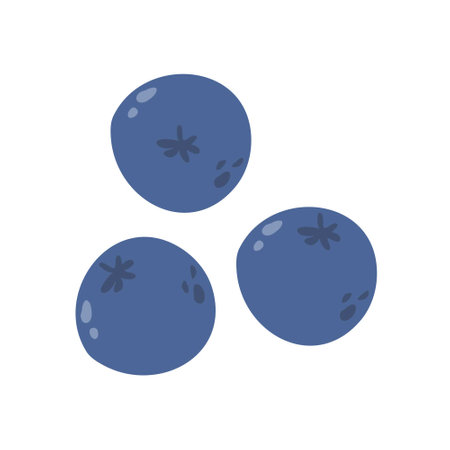 fresh summer berries blueberriesのイラスト素材