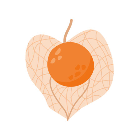 ciplukan or ceplukan fruitのイラスト素材