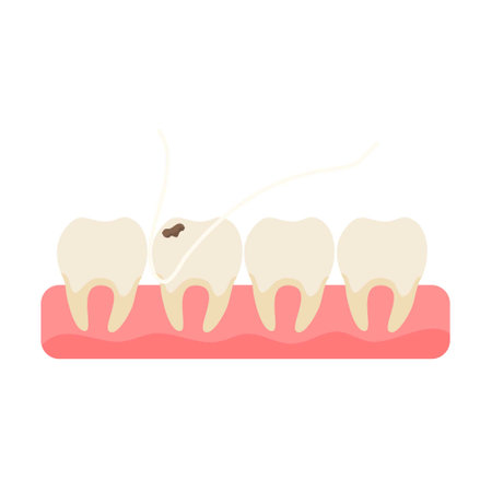 dental floss for teeth medical dentistのイラスト素材