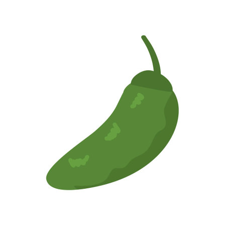 hand drawn green chili peppersのイラスト素材
