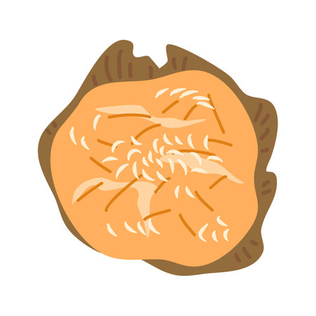 traditional Filipino cake cassava and coconut illustrationのイラスト素材
