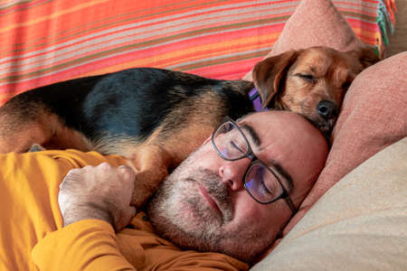 Man sleeping peacefully on the couch with his dog resting on his headの写真素材