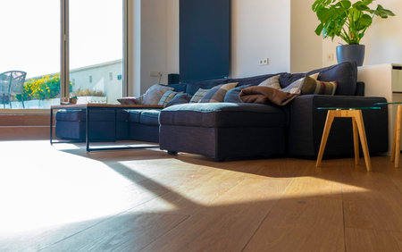 Modern living room interior with stylish comfortable sofa. Interior design. Bright, spacious room...