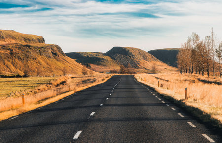 Empty asphalt roadway with white broken marks and side red poles while passing through mountainous terrain with trees in countryside against cloudy blue sky in daylight. The Golden Circle, Icelandの写真素材