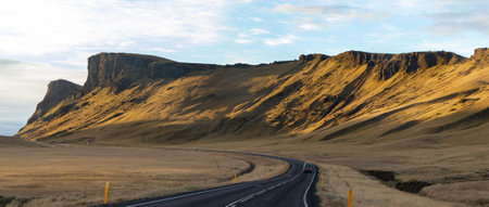 A road with a yellow line on it and yellow signs on the sides. The road is surrounded by a dry grass...