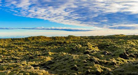 A field of green grass and moss with a blue sky in the background. The moss forms a curiously wavy...
