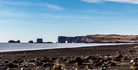 A rocky beach with a large body of water in the background. The sky is clear and blue, and the sun is shining brightly. The scene is peaceful and serene. Dyrholaey, Icelandの写真素材