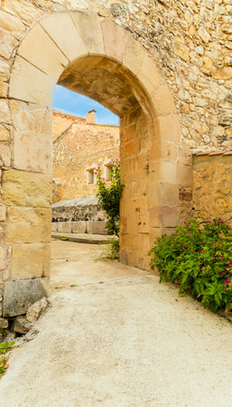 A dirt road crosses a stone wall through a stone archway with a small plant in front of it. The archway is open and the plant is full of flowersの写真素材