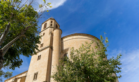 Sacred Chapel of the Savior in Ubeda, Spain. A large brown building with a tall tower and a green tree in front of it. The sky is clear and blueの写真素材