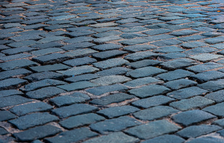 A close up of a cobblestone street. The cobblestones are arranged in a pattern, and the moss between the cobblestonesの写真素材