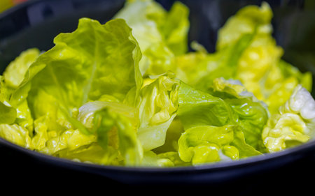 Vibrant, high-quality photograph of clean, crisp, light green lettuce leaves prepared in a dark bowl, ideal for depicting healthy eating, vegan food, and fresh ingredientsの写真素材