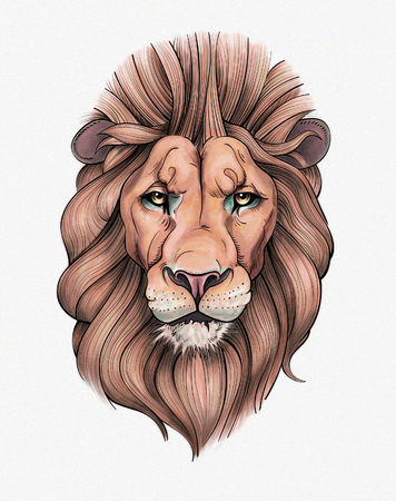 Portrait of a Beautiful Lionの写真素材