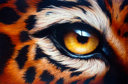 Leopard's eyeAirbrush painting.の写真素材