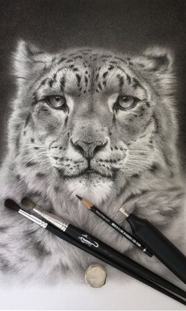 Realistic drawing, portrait of a snow leopard. Art materials: eraser, brush, pencilの写真素材